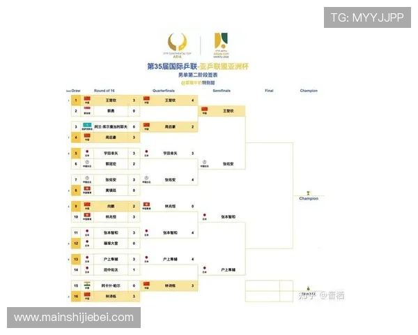 2026年世界杯都有哪些国家队参加比赛全面解析
