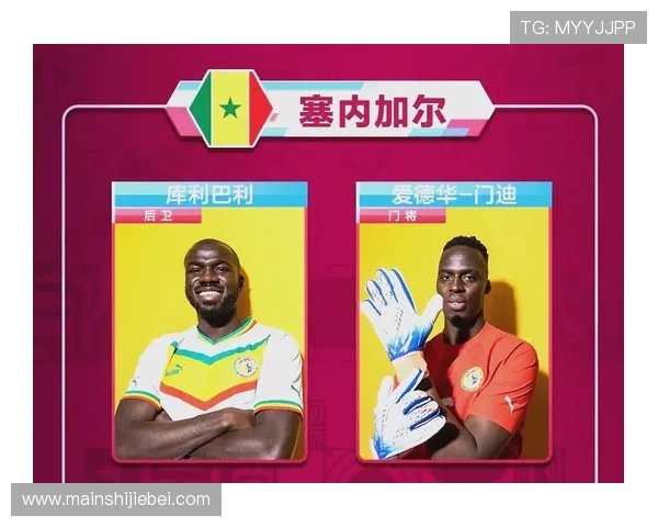 深入解析世界杯欧洲区预选赛的比赛规则与晋级机制让你一目了然