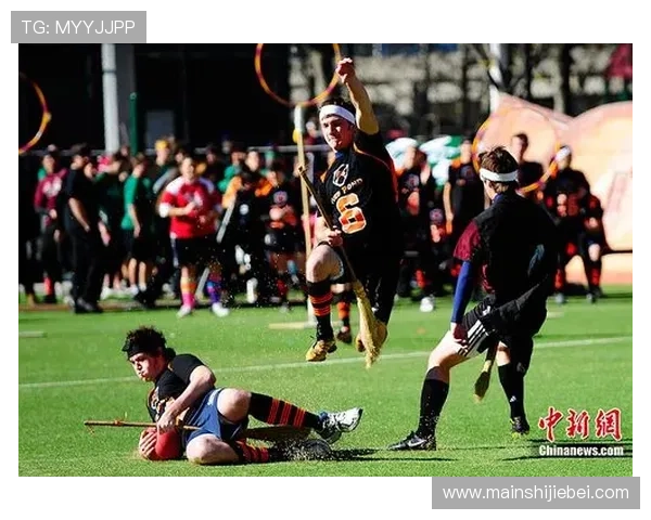 魁地奇世界杯举办频率与魔法运动国际合作的关系及发展前景